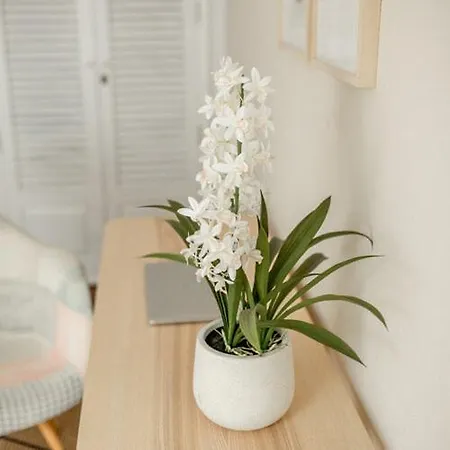 アパート Apartamento Lanzarote Art 3 San Bartolomé